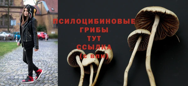 соль курить ск Абаза