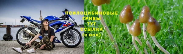 бутират Рославль