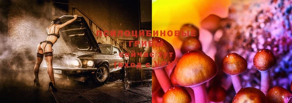трава Ростов