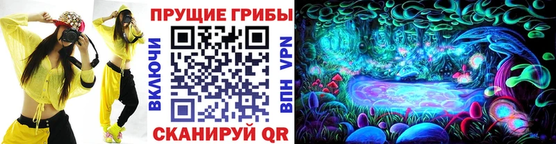 Псилоцибиновые грибы мицелий  Никольское 